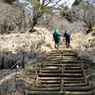 丹沢・塔ノ岳登頂セレクト写真集 2008～2018 (9)
