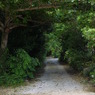沖縄に行ってきました　10