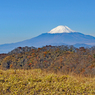 丹沢・塔ノ岳登頂セレクト写真集 2008～2018 (17)