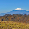 丹沢・塔ノ岳登頂セレクト写真集 2008～2018 (17)