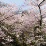 P3300023