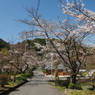 P4010039