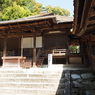 P4010078