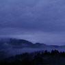 Morning mist
