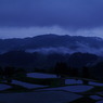 Morning mist