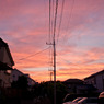 夕焼け