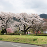 秦野戸川公園