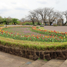 秦野戸川公園