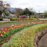 秦野戸川公園