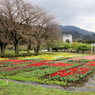 秦野戸川公園