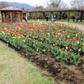 秦野戸川公園