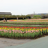 秦野戸川公園