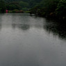 雨の新宿御苑