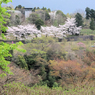 秦野戸川公園