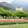 秦野戸川公園