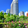 山下公園にて