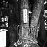 R0012254