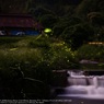 Scenery with firefly☆