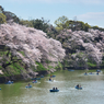 千鳥ヶ淵
