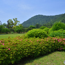 栗林公園
