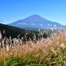 ススキと富士山