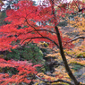 御岳昇仙峡にて
