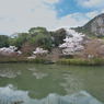 水辺の風景
