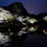 夜桜