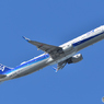 All Nippon Airways