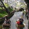 花見船のすれ違い