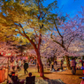 「上野公園の賑わい」