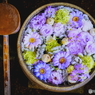 藤色　花まいり　