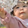 初めてのお花見 ver.2