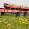 たんぽぽ列車