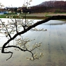 田園風景