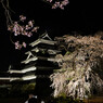 松本城夜桜会　2024年4月14日　１