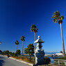 江の島大橋にて