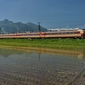 田植えの頃