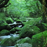 慈雨の恵み