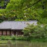 浄瑠璃寺・本堂
