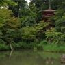 浄瑠璃寺・塔