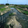 写真句：帰り道３：花貫川２：投稿4,800枚目