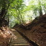 P4250029