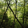 P4250032