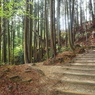 P4250040