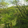 P4250073