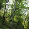 P4250077