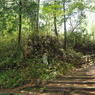 P4250078