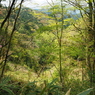 P4250132