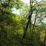 P4250156